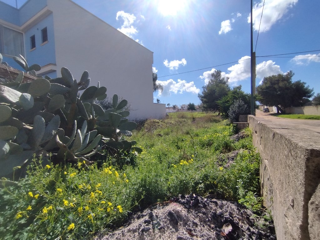 Giano Group Immobiliare